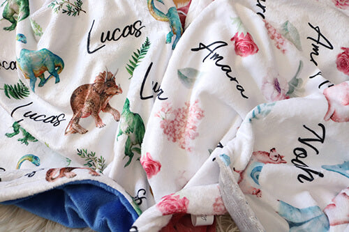 Dino Pattern Minky Blanket